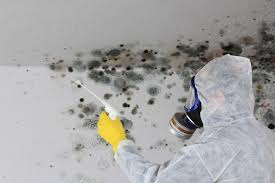 Best Asbestos and Lead Testing During Mold Inspection  in Hastings, PA